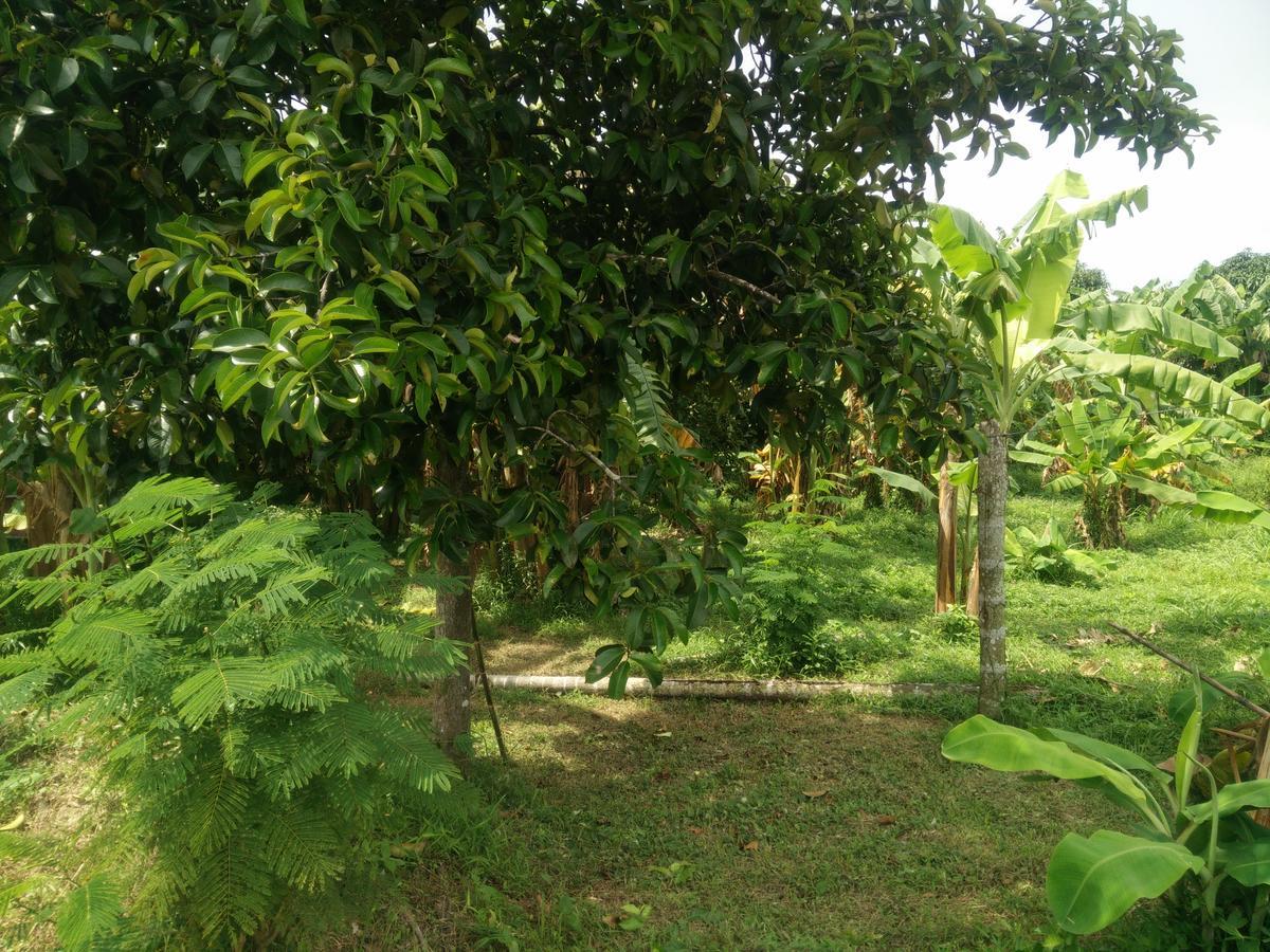 Deva Garden Resort Prachinburi Dış mekan fotoğraf