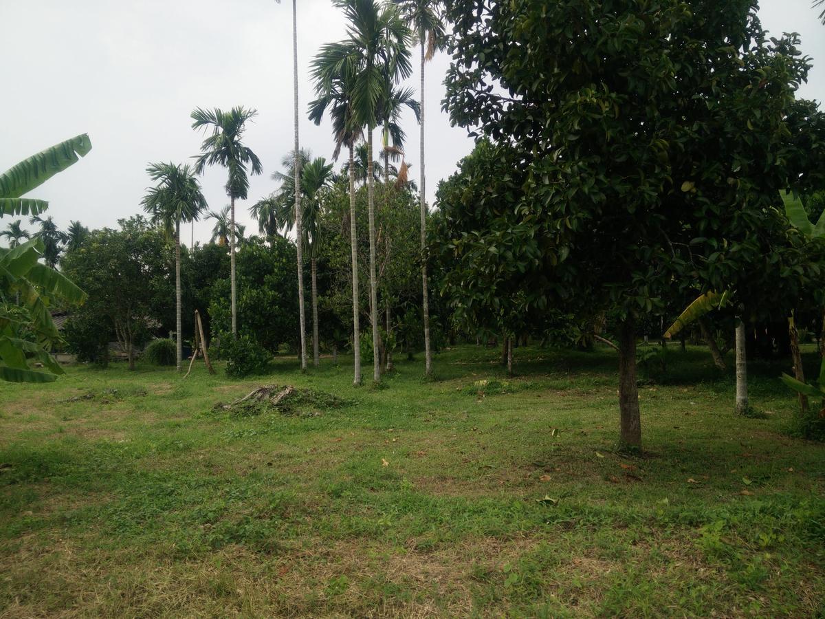 Deva Garden Resort Prachinburi Dış mekan fotoğraf