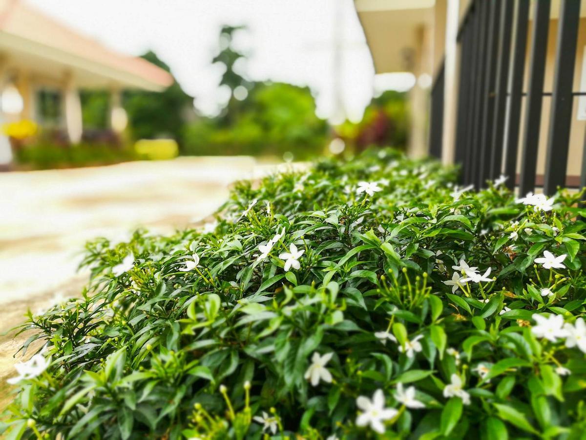 Deva Garden Resort Prachinburi Dış mekan fotoğraf